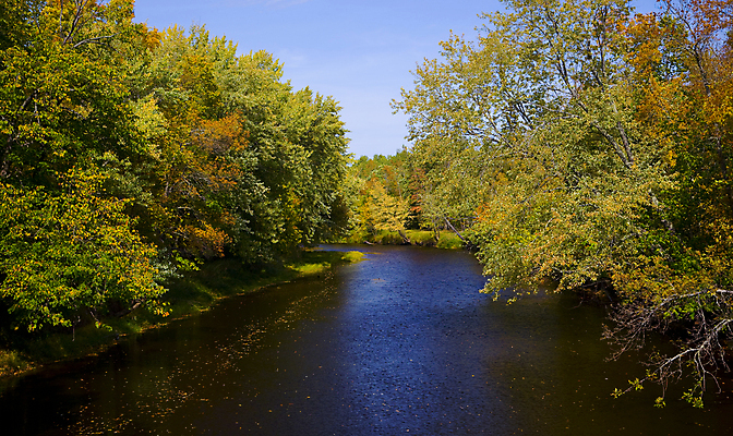 포토 JPG 해외이미지 잎 자연 사람없음 목재 강 침묵 가을 숲 9월 북쪽 느림 내추럴 해외202004 해외포토 나무 식물 계절 재료 소리 날짜 방향 생태계 파일형식 이미지허브