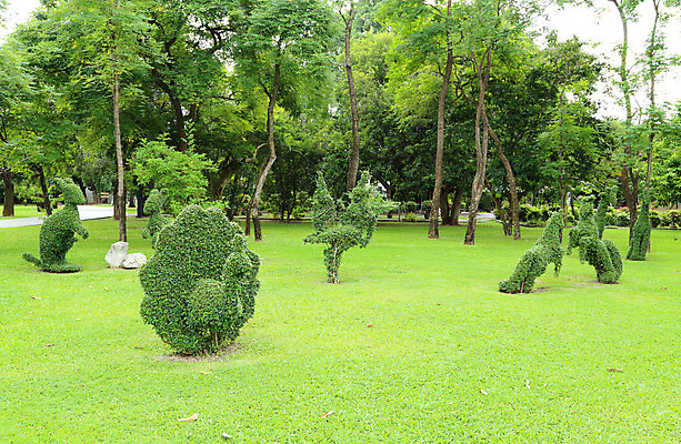 포토 JPG 해외이미지 나무 식물 동물 전통 계절 공원 꽃잎 문화 조각 여행 잎 꽃무늬 밭 자연 조류 하늘 풍경 잔디 사람없음 장식 초록색 환경 정원 벚꽃 시골 공작 수집 전시회 원예 조경 캥거루 보여주기 멀티 정중 해외202004 해외포토 공공시설 꽃 컬러 컨셉 무늬 농업 포유류 모션 취미 전시 생태계 파일형식 이미지허브