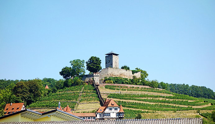 포토 JPG 해외이미지 나무 여행 자연 산 독일 풍경 사람없음 목재 궁전 성 중세 역사 해외202004 해외포토 식물 건축물 유럽 고건축 재료 생태계 파일형식 이미지허브
