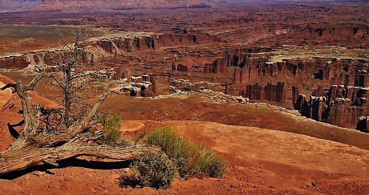 포토 JPG 해외이미지 나무 공원 모래 여행 오렌지 자국 자연 하늘 산 건조 안테나 풍경 사람없음 야외 가로 빨간색 물 파란색 우주 골짜기 미국 일몰 사막 흰색 뜨거움 황무지 큼 부식 북쪽 사암 서쪽 전국 해외202004 해외포토 자연요소 식물 공공시설 컬러 북아메리카 과일 통신 노을 돌_바위 크기 방향 생태계 파일형식 이미지허브