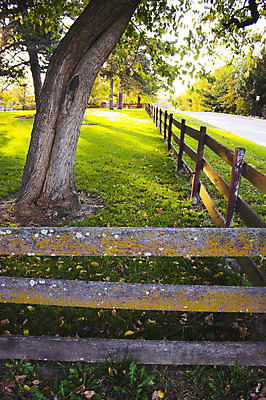 포토 JPG 해외이미지 나무 식물 도로 스포츠 여행 잎 자국 자연 휴식 사람 사람없음 야외 목재 초록색 여름 울타리 운동 봄 산책 하이킹 가을 숲 루트 해외202004 해외포토 계절 길 컬러 컨셉 재료 교통시설 레저 건강 담장 생태계 파일형식 이미지허브