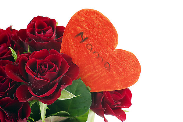 포토 JPG 해외이미지 식물 기념일 꽃잎 꽃 꽃다발 백그라운드 꽃무늬 자연 벽지 엄마 발렌타인데이 선물 사랑 사람없음 장식 빨간색 장미 귀여움 정원 보라색 하트 축하 신선 개화 의식 다발 순수 향기 냄새 열정 해외202004 해외포토 모양 감정 컬러 컨셉 무늬 가족 데이이벤트 이벤트 생태계 파일형식 이미지허브