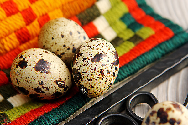 포토 JPG 해외이미지 전통 계절 문화 음식 백그라운드 다이어트 재료 자연 조류 휴가 부활절 건강 요리 이벤트 사람없음 장식 수건 농장 갈색 계란 저녁식사 봄 껍질 축하 신선 그룹 아침식사 유기농 내추럴 점심식사 단백질 메추리 생식 해외202004 해외포토 동물 웰빙 기념일 컬러 컨셉 농업 위생용품 알 식사 생태계 영양소 파일형식 이미지허브