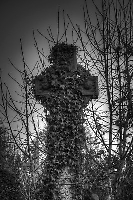 포토 JPG 해외이미지 종교 백그라운드 십자가 흑백 사람없음 할로윈 죽음 무덤 덩굴 비석 묘사 신성 아이비 기념물 천연기념물 신앙심 장례식 해외202004 해외포토 식물 촬영기법 파일형식 이미지허브