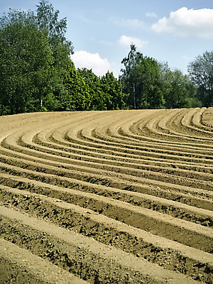 포토 JPG 해외이미지 계절 산업 지구 선 패턴 밭 농업 자연 감자 풍경 사람없음 농작물 농장 농경지 갈색 환경 흙 봄 줄무늬 성장 시골 작업 땅 만취 뿌리기 질감 대칭 땅바닥 밭일 선로 심기 쟁기 줄서기 직진 세련 해외202004 해외포토 컬러 무늬 채소 모션 바닥 생태계 술취함 파일형식 이미지허브