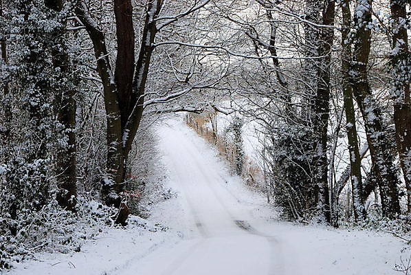 포토 JPG 해외이미지 나무 계절 도로 길 겨울 영국 잉글랜드 사람없음 울타리 얼음 추위 눈보라 해외202004 해외포토 자연요소 식물 유럽 교통시설 눈_날씨 담장 파일형식 이미지허브