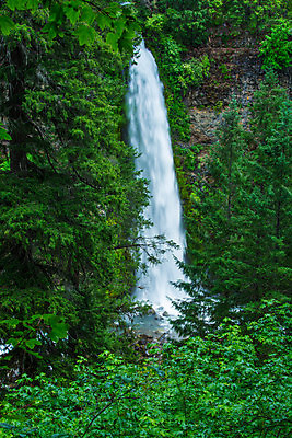 포토 JPG 해외이미지 여행 자연 풍경 사람없음 야외 물 폭포 하이킹 개울 숲 통나무 해외202004 해외포토 자연요소 나무 레저 강 생태계 파일형식 이미지허브