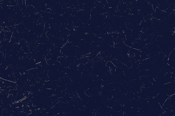 포토 JPG 해외이미지 디자인 산업 종이 백그라운드 패턴 추상 사람없음 파란색 금속 손상 수확 얼룩 거친 주름 균열 떨어짐 묘사 고민 부식 질감 복고 찢어짐 지하 무거움 노려봄 구김 그런지 썩음 옛날 철강 막 해외202004 해외포토 감정 컬러 컨셉 무늬 농업 모션 재질 표정 무게 파일형식 이미지허브