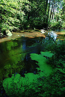 포토 JPG 해외이미지 나무 전통 모래 여행 사람없음 옆모습 초록색 물 강 계곡 침묵 프랑스 가장자리 장면 프랑스어 해외202004 해외포토 자연요소 식물 문자 유럽 뷰포인트 컬러 소리 둘레 파일형식 이미지허브