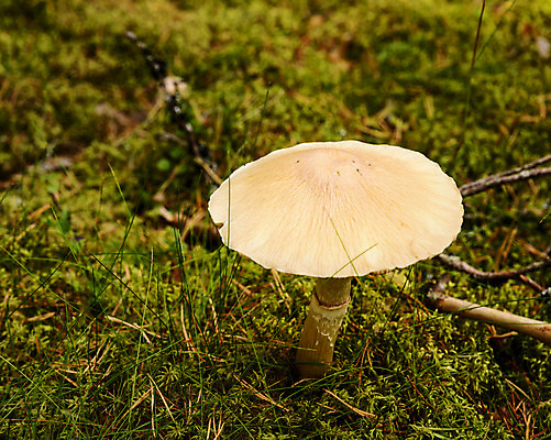 포토 JPG 해외이미지 유럽 자연 북유럽 노르웨이 풍경 사람없음 야외 가을 스칸디나비아 해외202004 해외포토 계절 나라 생태계 파일형식 이미지허브