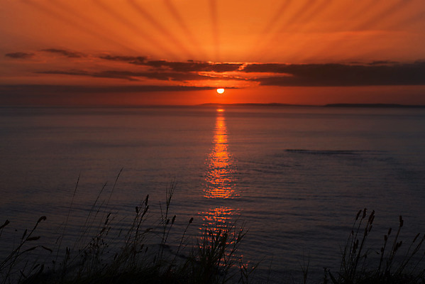 포토 JPG 해외이미지 식물 구름 꽃 실루엣 바다 여행 백그라운드 오렌지 자연 하늘 추상 미술 풍경 사람없음 빨간색 초록색 물 여름 파란색 태양 노란색 일출 황혼 일몰 봄 새벽 잡초 볏짚 저녁 아일랜드 내추럴 귀리 해외202004 해외포토 자연요소 계절 유럽 컬러 무늬 과일 문화예술 곡류 촬영기법 노을 짚 야간 생태계 파일형식 이미지허브