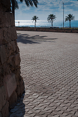 포토 JPG 해외이미지 나무 바다 날씨 거리 미술 풍경 사람없음 야외 물 야자수 항구 가을 도시 보트 스페인 11월 지중해 포트 해외202004 해외포토 자연요소 식물 계절 유럽 배_교통 교통시설 문화예술 날짜 파일형식 이미지허브