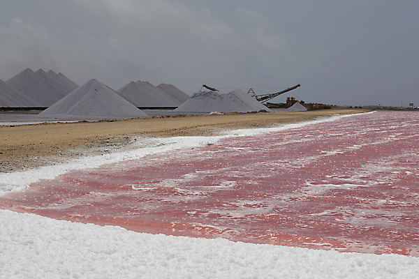 포토 JPG 해외이미지 산업 호수 여행 패턴 자연 풍경 사람없음 야외 물 여름 장미 사막 흰색 죽음 플랫 땅 소금 장면 넘어짐 해외202004 해외포토 자연요소 계절 꽃 컬러 무늬 모션 생태계 파일형식 이미지허브