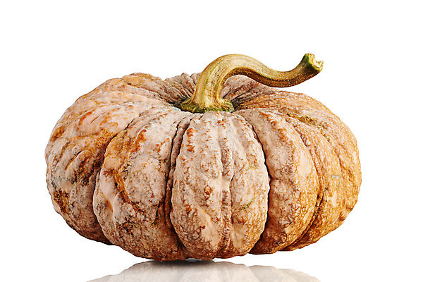 포토 JPG 해외이미지 계절 아시아 길 클리핑패스 음식 조각 채소 오렌지 태국 자연 호박 휴가 건강 씨앗 사람없음 농장 노란색 할로윈 수확 가을 흰색 시골 축하 신선 9월 11월 자르기 박 추수감사절 10월 그런지 옛날 채식주의자 해외202004 해외포토 식물 나라 기독교 컬러 컨셉 농업 과일 모션 날짜 생태계 채식 파일형식 이미지허브