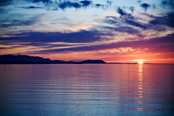 포토 JPG 해외이미지 공원 바다 자연 조류 하늘 아침 풍경 사람없음 야외 물 여름 반사 평화 일출 침묵 황혼 일몰 새벽 야간 저녁 해외202004 해외포토 주간 자연요소 동물 계절 공공시설 컨셉 노을 소리 생태계 파일형식 이미지허브
