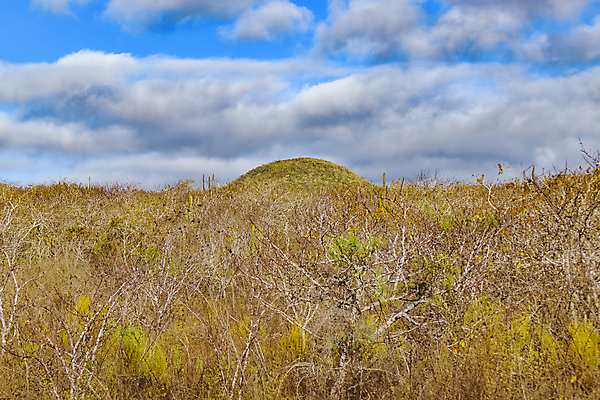 포토 JPG 해외이미지 구름 계절 섬 여행 백그라운드 잎 자연 하늘 산 건조 파노라마 풍경 사람없음 야외 환경 미국 숲 장면 에콰도르 갈라파고스 남쪽 내추럴 해외202004 해외포토 자연요소 식물 북아메리카 촬영기법 남아메리카 방향 생태계 파일형식 이미지허브