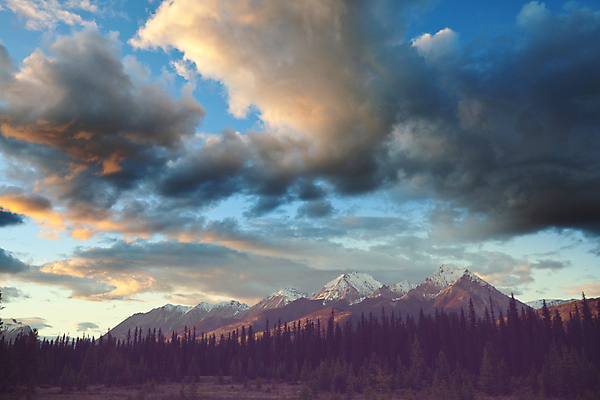 포토 JPG 해외이미지 나무 공원 호수 여행 캐나다 자연 하늘 영국 산 국립공원 풍경 사람없음 야외 여름 파란색 침묵 하이킹 센터 콜롬비아 북쪽 감탄 밴프 앨버타 전국 특별함 로키산맥 해외202004 해외포토 식물 계절 공공시설 유럽 컬러 컨셉 북아메리카 레저 소리 남아메리카 방향 생태계 파일형식 이미지허브