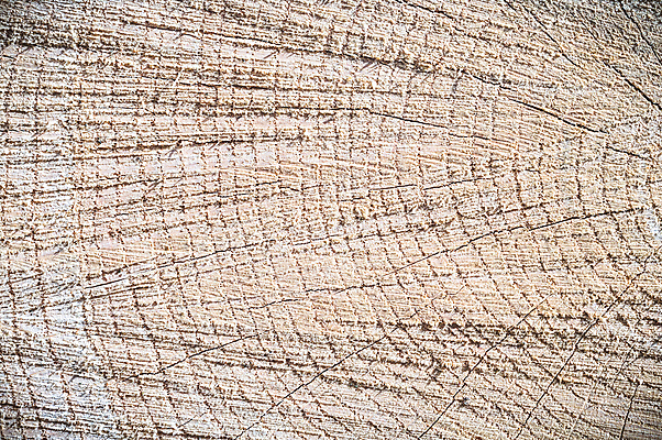 포토 JPG 해외이미지 나무 디자인 외관 벽 백그라운드 패턴 자연 탁자 표면 추상 바닥 프레임 건조 사람없음 목재 장식 갈색 어둠 수확 판넬 얼룩 거친 널 낟알 타일 책상 질감 복고 목공예 잡동사니 내추럴 구식 그런지 수목 옛날 파케트 해외202004 해외포토 식물 컬러 가구 무늬 농업 재료 공예 생태계 파일형식 이미지허브