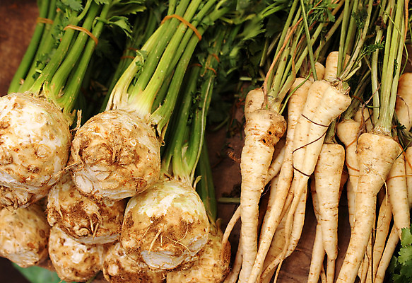 포토 JPG 해외이미지 식물 음식 줄기 백그라운드 잎 농업 다이어트 채소 재료 전구 자연 양파 건강 요리 사람없음 초록색 정원 샐러드 신선 막대기 맛 수프 다발 먹기 허브 향신료 유기농 날것 뿌리 내추럴 채식주의자 해외202004 해외포토 웰빙 산업 컬러 컨셉 모션 생태계 채식 향미료 파일형식 이미지허브