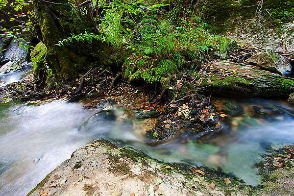 포토 JPG 해외이미지 유럽 사람없음 초록색 동굴 해외202004 해외포토 나라 컬러 파일형식 이미지허브