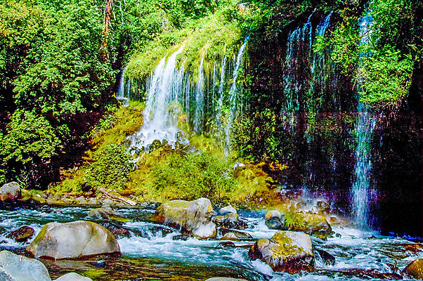포토 JPG 해외이미지 여행 자연 풍경 사람없음 야외 물 강 폭포 하이킹 개울 숲 통나무 캘리포니아 해외202004 해외포토 자연요소 나무 레저 미국 생태계 파일형식 이미지허브