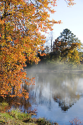 포토 JPG 해외이미지 나무 식물 계절 공원 호수 백그라운드 잎 오렌지 자연 하늘 풍경 사람없음 야외 빨간색 초록색 물 여름 파란색 빛 반사 노란색 평화 환경 침묵 안개 가을 시골 연못 숲 장면 10월 내추럴 뿌연 해외202004 해외포토 자연요소 공공시설 컬러 컨셉 과일 날씨 소리 날짜 생태계 파일형식 이미지허브