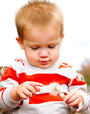 포토 JPG 해외이미지 꽃 어린이 한명 사람 소년 야외 줄무늬 민들레 호기심 해외202004 해외포토 식물 1 남자 감정 컨셉 무늬 파일형식 이미지허브
