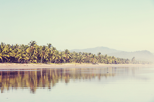 포토 JPG 해외이미지 나무 구름 공원 모래 파도 바다 여행 자연 하늘 휴가 파노라마 손바닥 풍경 사람없음 야외 물 여름 파란색 일출 맑음 미국 침묵 일몰 만 남아메리카 중앙아메리카 태평양 전국 코스타리카 파라다이스 해외202004 해외포토 자연요소 식물 손 계절 공공시설 컬러 북아메리카 날씨 촬영기법 아메리카 노을 소리 생태계 파일형식 이미지허브