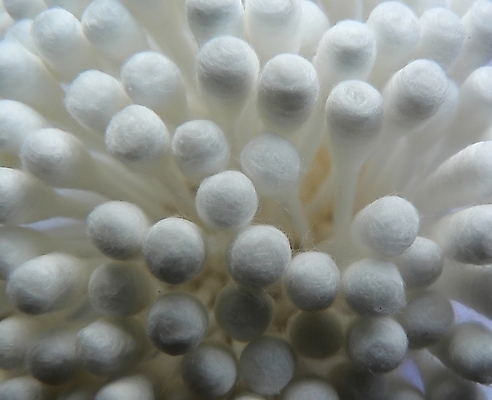 포토 JPG 해외이미지 건강 사람없음 새싹 화장품 욕실 흰색 면 위생 청소 귀 부드러움 위생관리 해외202004 해외포토 식물 컬러 관리 신체부위 뷰티 감각 파일형식 이미지허브