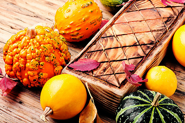 포토 JPG 해외이미지 계절 음식 백그라운드 단풍 잎 농업 다이어트 채소 자연 호박 건강 씨앗 사람없음 장식 농작물 컬러풀 노란색 주방 수확 가을 시골 신선 그룹 떨어짐 9월 11월 심볼 날것 호두 박 모음 추수감사절 스쿼시 10월 숙성 채식주의자 많음 해외202004 해외포토 식물 산업 기독교 스포츠 컬러 컨셉 한글 구기 견과류 날짜 생태계 채식 파일형식 이미지허브