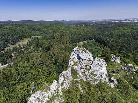 포토 JPG 해외이미지 나무 구름 도로 길 백그라운드 밭 농업 자연 하늘 산 풍경 잔디 사람없음 야외 초록색 여름 컬러풀 맑음 침묵 봄 시골 땅 조경 문학 장면 폴란드 내추럴 밭일 석회암 평야 수평선 해외202004 해외포토 자연요소 식물 계절 유럽 산업 컬러 교통시설 날씨 소리 암석 생태계 파일형식 이미지허브