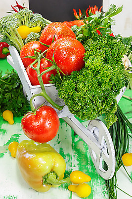 포토 JPG 해외이미지 토마토 채소 재료 자연 탁자 양파 오이 파프리카 파슬리 건강 마늘 사람없음 목재 빨간색 초록색 여름 상자 농장 우주 정원 식사 칠판 침묵 수레 공백 당근 모임 수확 흰색 시골 신선 닫기 맛 상품 허브 유기농 날것 후추 모음 내추럴 숙성 실행 채식주의자 많음 해외202004 해외포토 나무 식물 웰빙 계절 컬러 가구 컨셉 농업 모션 뿌리채소 소리 카트 향신료 생태계 채식 파일형식 이미지허브