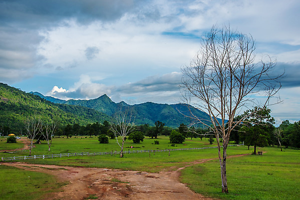 포토 JPG 해외이미지 나무 식물 공원 백그라운드 밭 농업 자연 하늘 건조 풍경 사람없음 야외 목재 초록색 여름 파란색 태양 농장 환경 맑음 흰색 시골 죽음 장면 내추럴 고립 옛날 해외202004 해외포토 자연요소 계절 공공시설 산업 컬러 재료 날씨 생태계 파일형식 이미지허브