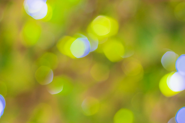 포토 JPG 해외이미지 디자인 행복 별 분홍색 백그라운드 추상 사람없음 장식 빨간색 파란색 빛 반짝임 노란색 검은색 축제 원형 화려 야간 소프트포커스 보케 빛망울 엘리먼트 해외202004 해외포토 자연요소 도형 감정 컬러 컨셉 무늬 모션 촬영기법 파일형식 이미지허브