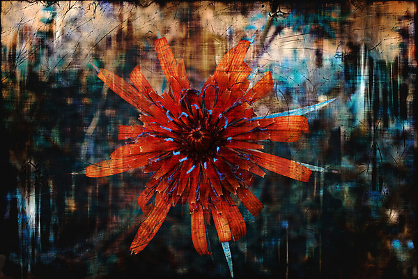 포토 JPG 해외이미지 식물 계절 꽃잎 꽃 백그라운드 꽃무늬 오렌지 일러스트 자연 사람없음 장식 여름 파란색 컬러풀 어둠 봄 활발 성장 벚꽃 개화 닫기 묘사 부식 내추럴 그런지 해외202004 해외포토 컬러 컨셉 무늬 과일 모션 생태계 파일형식 이미지허브