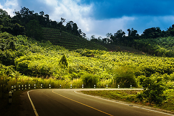 포토 JPG 해외이미지 구름 계절 도로 길 선 여행 백그라운드 밭 농업 자연 하늘 날씨 풍경 사람없음 야외 초록색 파란색 빛 컬러풀 햇빛 태양 환경 검은색 봄 흰색 시골 고속도로 분위기 아스팔트 땅 방향 먼지 장면 방법 평야 수평선 해외202004 해외포토 자연요소 산업 컬러 컨셉 교통시설 생태계 파일형식 이미지허브