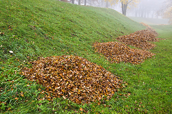 포토 JPG 해외이미지 나무 식물 전통 계절 공원 백그라운드 단풍 잎 오렌지 자연 아침 새로움 건조 풍경 잔디 사람없음 야외 빨간색 초록색 노란색 쌓기 수확 안개 가을 나뭇가지 죽음 그룹 황금 숲 9월 땅 청소 배열 오브젝트 흙더미 옛날 많음 해외202004 해외포토 주간 공공시설 컬러 컨셉 농업 과일 모션 날씨 흙 날짜 생태계 파일형식 더미 이미지허브