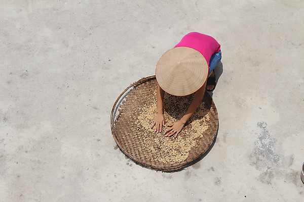 포토 JPG 해외이미지 나무 식물 구름 계절 겨울 모션 아프리카 자연 하늘 추상 건조 풍경 사람없음 야외 파란색 빛 세트 햇빛 태양 환경 일몰 성장 나뭇가지 죽음 시간 황금 생태계 질감 나무껍질 무화과 남쪽 해외202004 해외포토 자연요소 나라 컬러 무늬 과일 노을 껍질 방향 파일형식 이미지허브