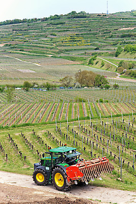 포토 JPG 해외이미지 계절 산업 밭 농업 자연 하늘 풍경 사람없음 야외 초록색 여름 파란색 농작물 농장 농경지 환경 기계 이탈리아 장비 수확 성장 가을 시골 포도밭 장면 포도나무 트랙터 산기슭 내추럴 밭일 피에몬테 세련 해외202004 해외포토 유럽 컬러 산 농기계 과일나무 생태계 특수차량 파일형식 이미지허브