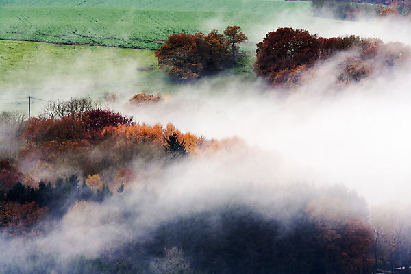 포토 JPG 해외이미지 나무 구름 계절 여행 백그라운드 오렌지 자연 아침 산 풍경 사람없음 야외 초록색 환경 계곡 황혼 새벽 안개 가을 농촌 숲 언덕 벨기에 공상 마법 웅장함 조감도 카피스페이스 해외202004 해외포토 주간 자연요소 식물 컬러 과일 날씨 일몰 공백 시골 생태계 서유럽 파일형식 이미지허브