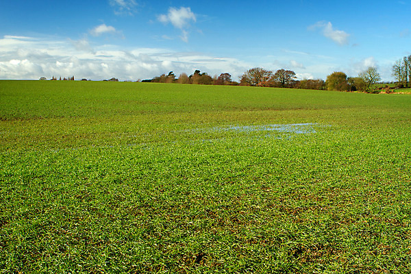 포토 JPG 해외이미지 나무 구름 영어 계절 백그라운드 잎 자연 하늘 잉글랜드 풍경 사람없음 야외 초록색 물 여름 파란색 빛 컬러풀 햇빛 태양 평화 맑음 황혼 일몰 봄 새벽 활발 절벽 광선 시골 저녁 심볼 남쪽 내추럴 강렬 고립 옛날 서식스 해외202004 해외포토 자연요소 식물 문자 컬러 컨셉 날씨 영국 노을 야간 방향 생태계 파일형식 이미지허브