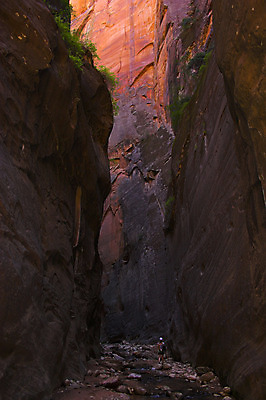 포토 JPG 해외이미지 지구 모래 여행 오렌지 배낭 자연 휴가 산 그림자 사람 풍경 소년 사람없음 야외 물 강 컬러풀 노란색 골짜기 보라색 봄 산책 하이킹 바위 개울 그늘 자르기 탈출 제비꽃 오르기 사암 멀리 단절 시온산 지질학 특별함 하이커 해외202004 해외포토 자연요소 계절 교육 남자 꽃 어린이 컬러 컨셉 가방 과일 모션 레저 휴식 돌_바위 생태계 파일형식 이미지허브