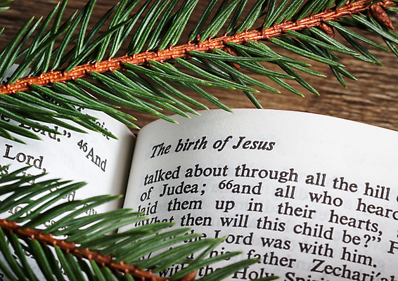 포토 JPG 해외이미지 기독교 종교 잎 크리스마스 텍스트 불 휴가 새로움 사람없음 책 가로 초록색 단어 빛 성경 희망 흰색 나뭇가지 오픈 예수 통로 슛 증거 신성 상록수 복음 신앙심 해외202004 해외포토 자연요소 나무 식물 문자 기념일 감정 컬러 컨셉 종교용품 신_종교 파일형식 이미지허브