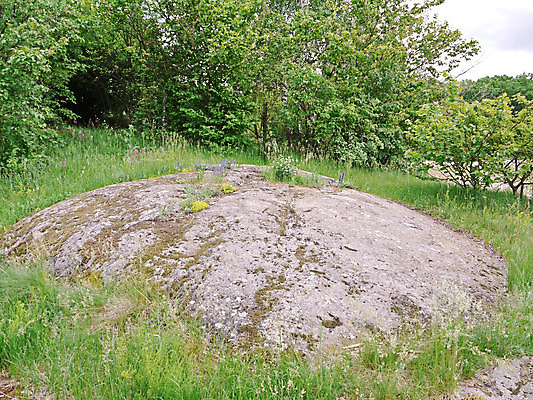 포토 JPG 해외이미지 식물 계절 공원 꽃 밭 자연 풍경 사람없음 야외 초록색 여름 정원 보라색 바위 제비꽃 언덕 내추럴 해외202004 해외포토 공공시설 컬러 농업 돌_바위 생태계 파일형식 이미지허브