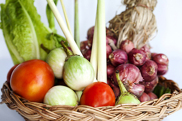 포토 JPG 해외이미지 음식 백그라운드 농업 다이어트 토마토 채소 가지 오이 파프리카 파슬리 건강 사람없음 초록색 흰색 신선 그룹 브로콜리 수집 오브젝트 날것 성분 고립 채식주의자 해외202004 해외포토 산업 컬러 채식 파일형식 이미지허브