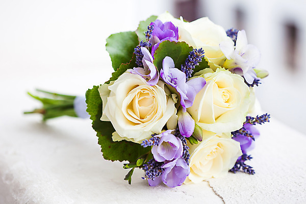 포토 JPG 해외이미지 식물 꽃잎 꽃 꽃다발 결혼 백그라운드 잎 꽃무늬 자연 결혼식 휴가 발렌타인데이 선물 사랑 사람없음 장식 초록색 여름 장미 노란색 벚꽃 흰색 축하 다발 라벤더 고립 해외202004 해외포토 계절 감정 컬러 컨셉 무늬 데이이벤트 이벤트 허브 생태계 파일형식 이미지허브