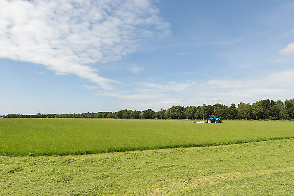 포토 JPG 해외이미지 겨울 밭 농업 자연 사람없음 여름 파란색 농작물 농장 농경지 가축 수확 시골 소 볏짚 농부 먹이 자르기 트랙터 계약자 해외202004 해외포토 동물 직업 계절 산업 컬러 포유류 모션 짚 농기계 계약 생태계 특수차량 파일형식 이미지허브