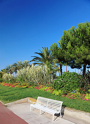 포토 JPG 해외이미지 나무 식물 디자인 외관 공원 꽃 여행 백그라운드 잎 벤치 자연 지팡이 하늘 휴식 손바닥 풍경 사람없음 야외 장식 초록색 여름 태양 정원 침묵 활발 성장 벚꽃 침대 만족 장면 멀티 영원 오아시스 정중 세련 해외202004 해외포토 자연요소 손 계절 공공시설 감정 컬러 가구 컨셉 의자 소리 생태계 파일형식 이미지허브