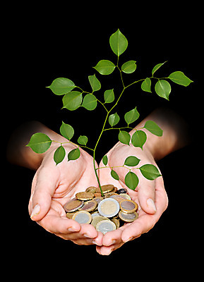 포토 JPG 해외이미지 나무 식물 손 백그라운드 잎 돈 새로움 손바닥 선물 사람없음 초록색 금융 경제 쌓기 동전 검은색 유로 성장 변화 닫기 발자국 생태계 팔 고립 생태학 유럽연합 해외202004 해외포토 교육 컬러 컨셉 자국 모션 신체부위 재산 파일형식 이미지허브