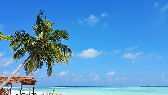 포토 JPG 해외이미지 나무 바다 섬 백그라운드 자연 하늘 휴가 손바닥 풍경 사람없음 물 여름 파란색 모래사장 맑음 흰색 모래언덕 석호 몰디브 터키석 파라다이스 해외202004 해외포토 자연요소 식물 손 계절 아시아 컬러 날씨 보석 언덕 생태계 파일형식 이미지허브